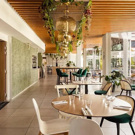 نوفوتيل نانسي